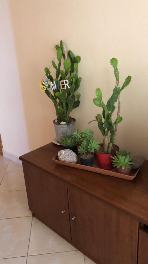 דירות Lukovë Simona'S House מראה חיצוני תמונה